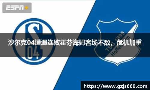沙尔克04遭遇连败霍芬海姆客场不敌，危机加重